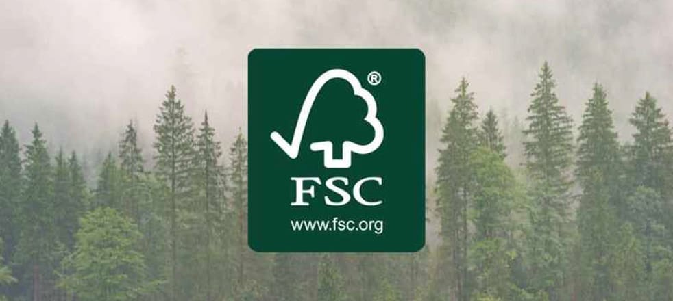 FSC - Пятница