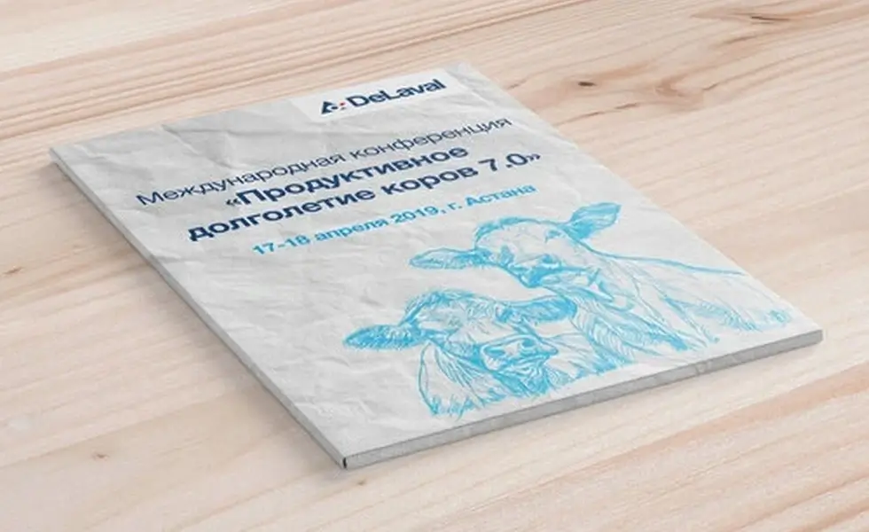Папка для конференции